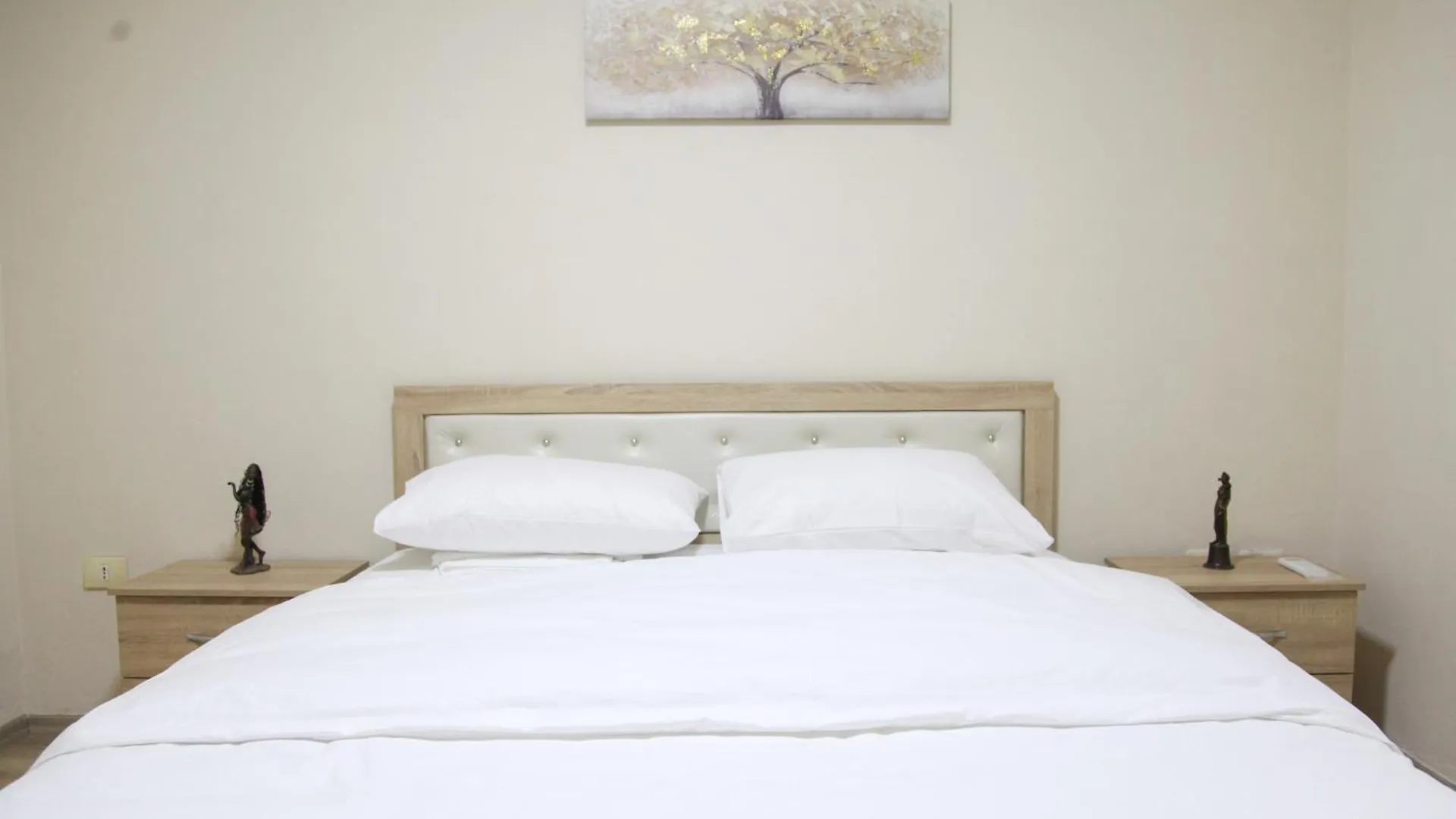 Central Escape Apartment 地拉那