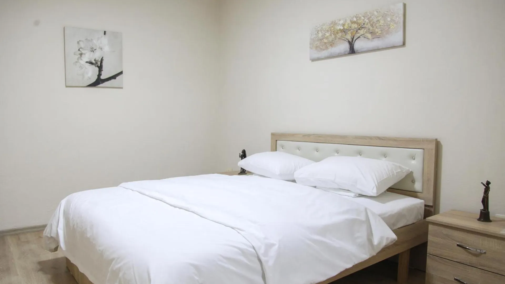 Central Escape Apartment 地拉那